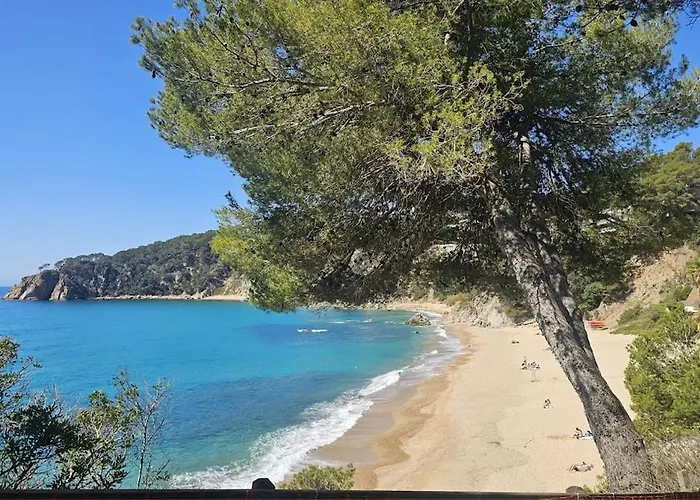 Kerstin Bruns - Granados With Ocean Views