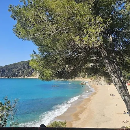 Kerstin Bruns - Granados With Ocean Views